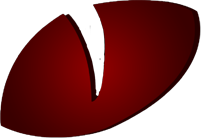 Beweldadon logo watermark